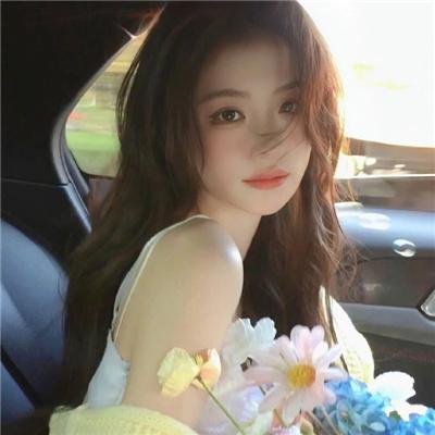 鹡鸰女神第一季